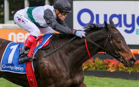 Makybe Diva Stakes 2023 Field & Odds Update: Mr Brightside .